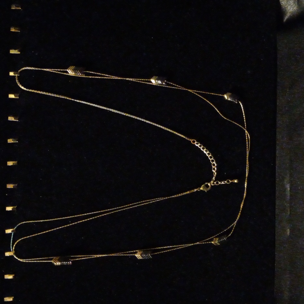 Double layer arrow necklace by AEO.